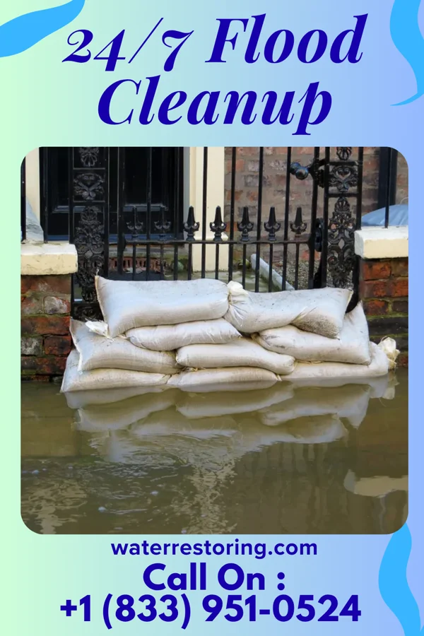 24/7 Flood Cleanup in Carsonville, MI