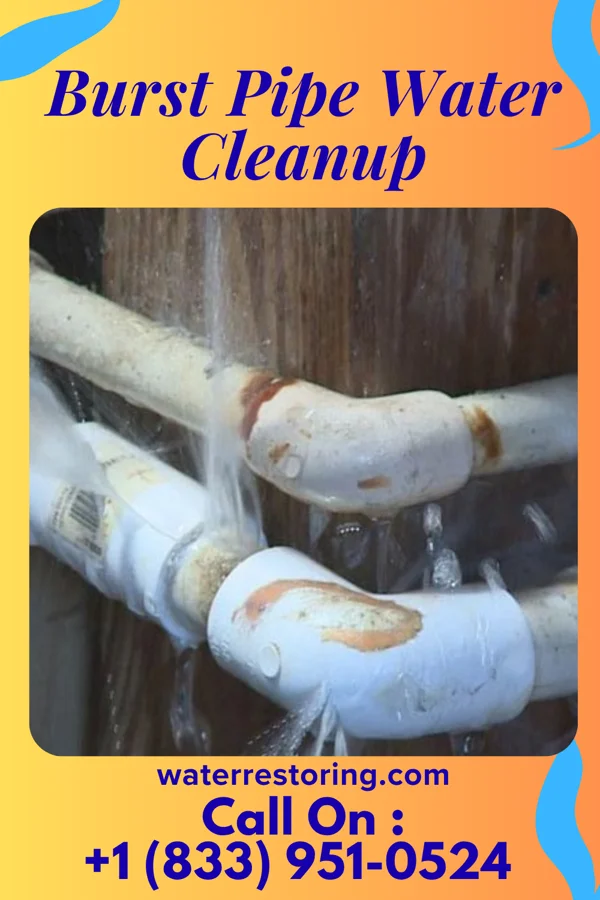 Burst Pipe Water Cleanup in Carsonville, MI