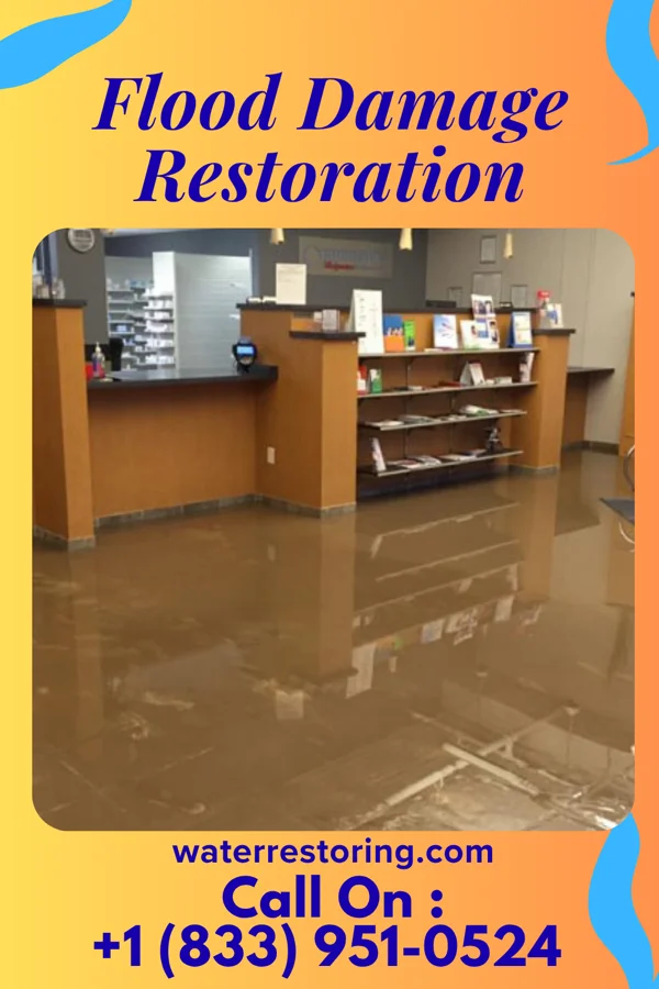 Flood Damage Restoration in Carsonville, MI