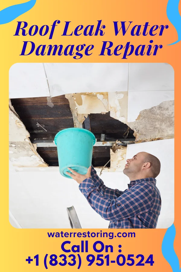 Roof Leak Water Damage Repair in Carsonville, MI