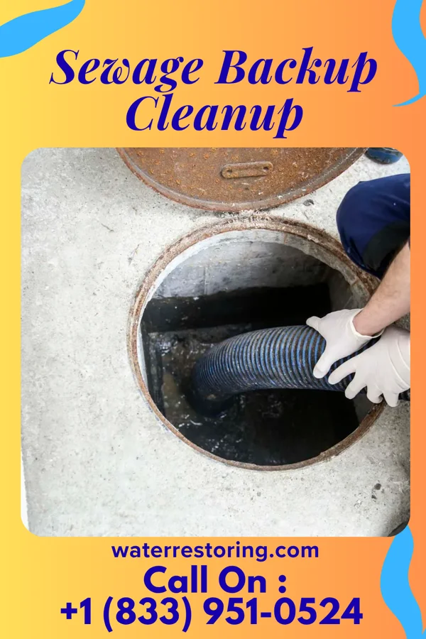 Sewage Backup Cleanup in Carsonville, MI